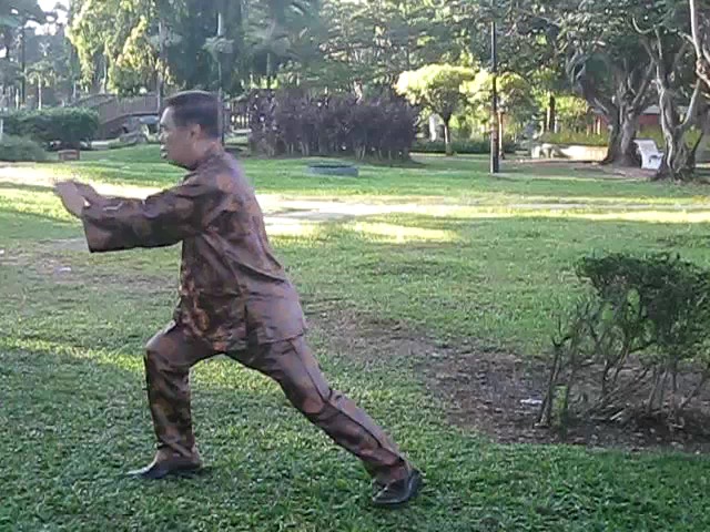 Wu Chuan You Style Taijiquan